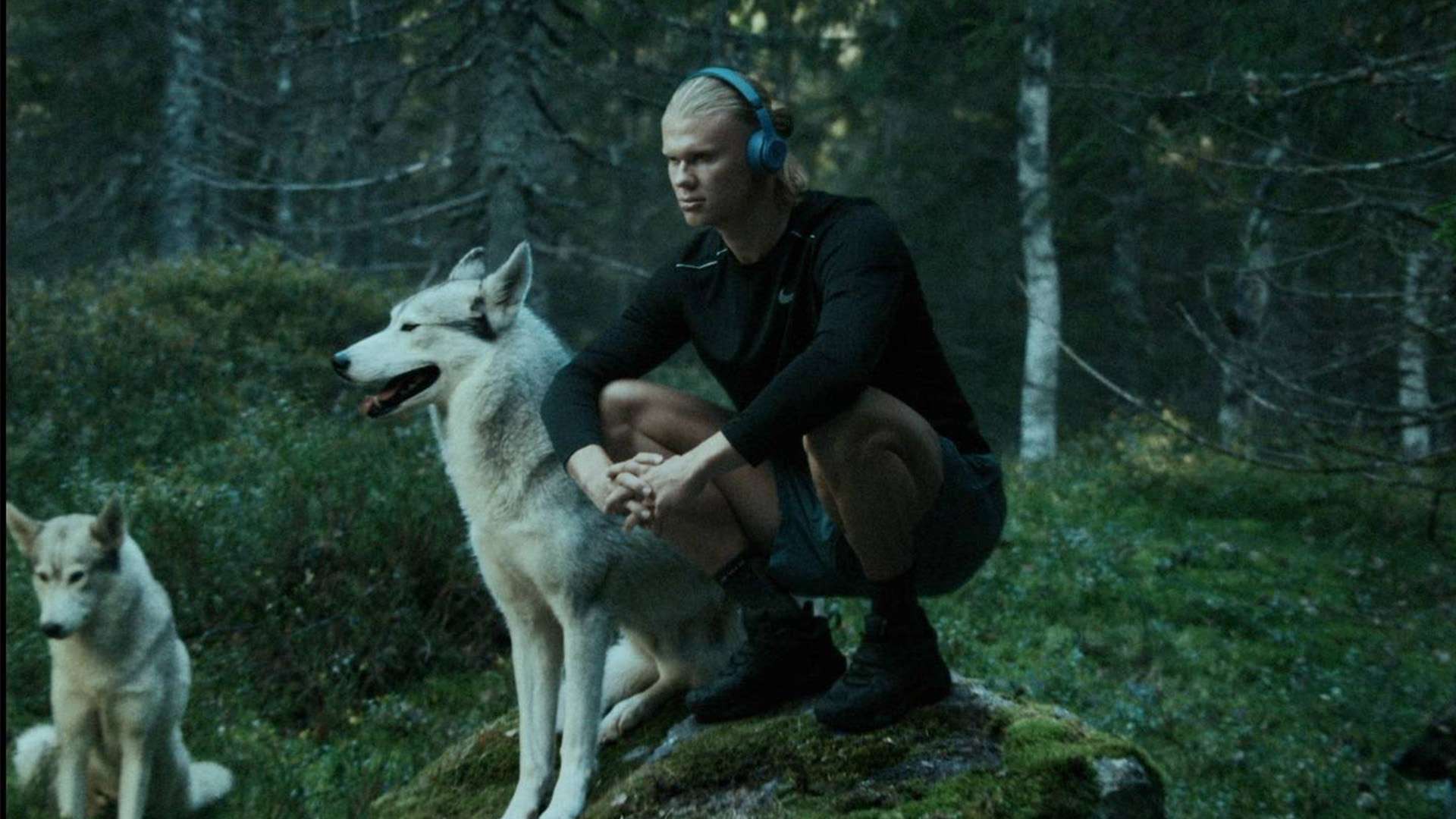 他们的经验 他们的经验